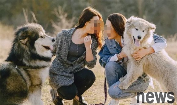 Dogs you raise “mature” all have these characteristics. Let’s see how many dogs you have!