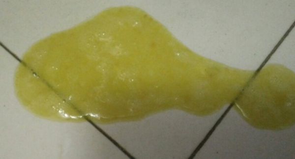 Dog vomits yellow water: Don t let ignorance harm your pet, is it improperly raised or a fatal disease