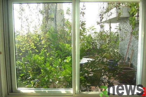 Skills for purchasing sound insulation windows-Cleaning and maintenance of sound insulation windows