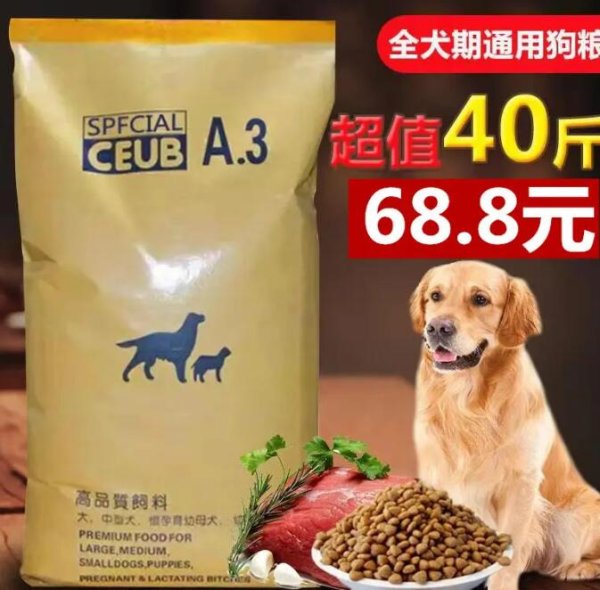 What kind of dog food is good for large dogs? Recommended large dog food