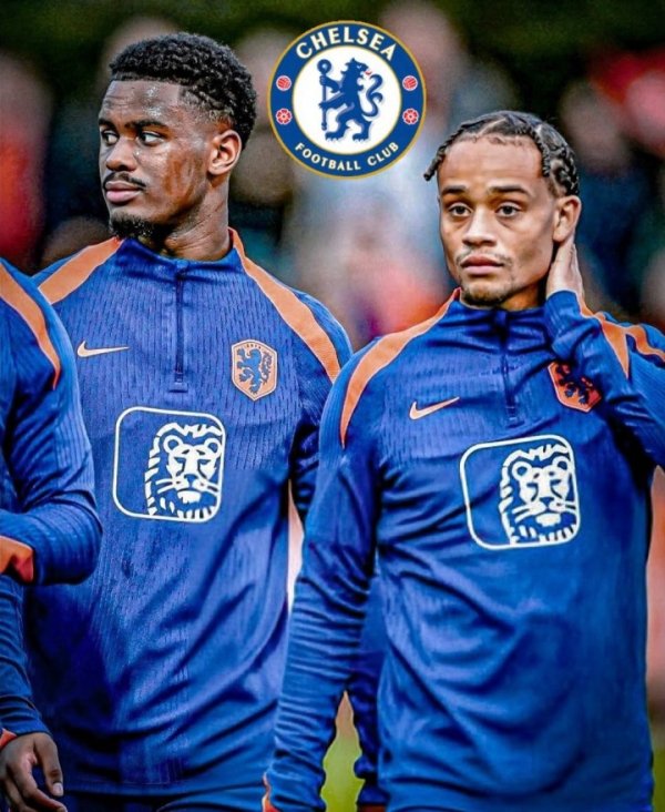 All want 😎Romano: Chelsea has absolute confidence in signing Harto and Simmons at the same time