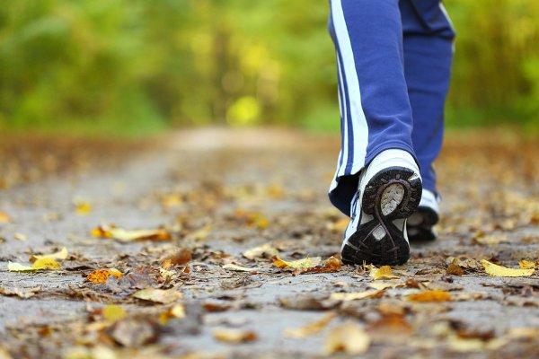 5 less well-known benefits when selling genes that are prone to fat and reduce related pain