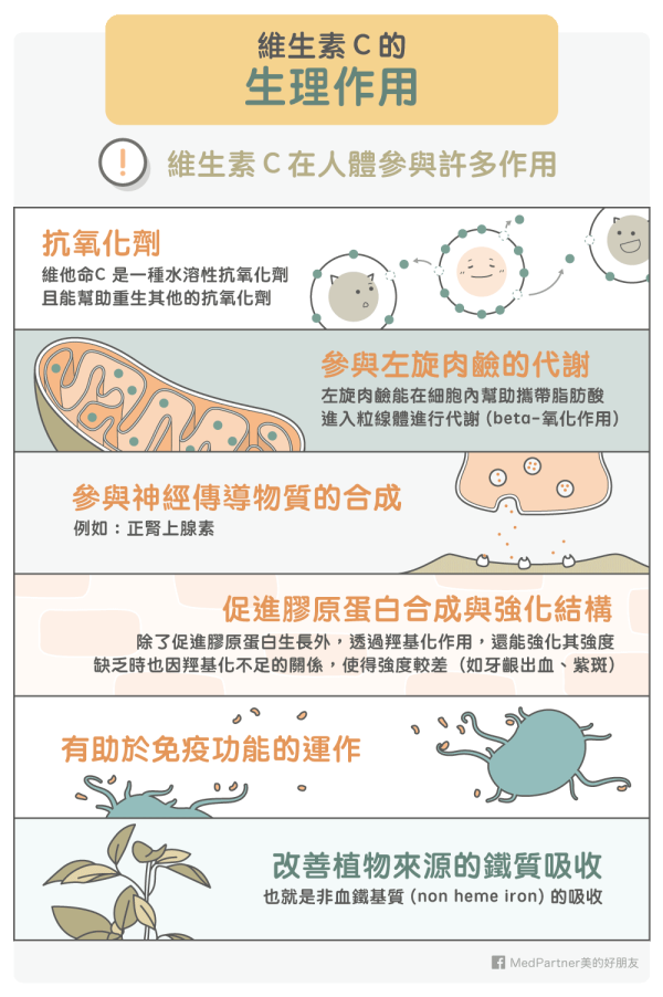 Vitamin C is the better? Nutritionist: When the intake is large, the absorption rate will decrease instead.