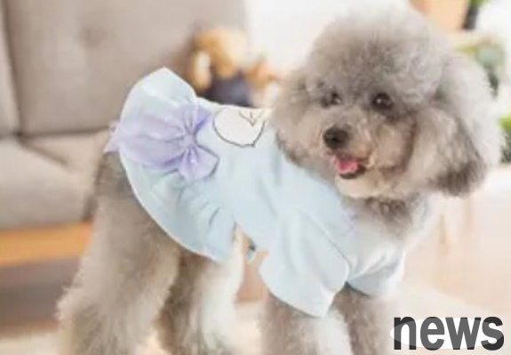 This article tells you what to do if the dog s urine is thick and yellow?