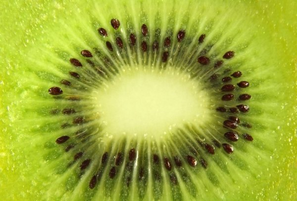 Kiwi fruit promotes gastrointestinal motility and helps relieve constipation. A nutritionist revealed that it can be eaten as a fruit in addition to vegetables.