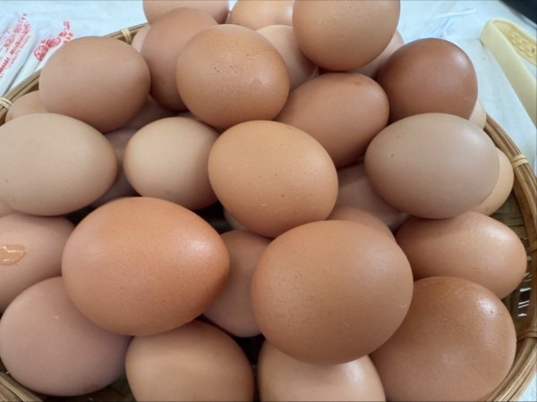 Which are more nutritious, white eggs or brown eggs? The truth may be different from what you think!