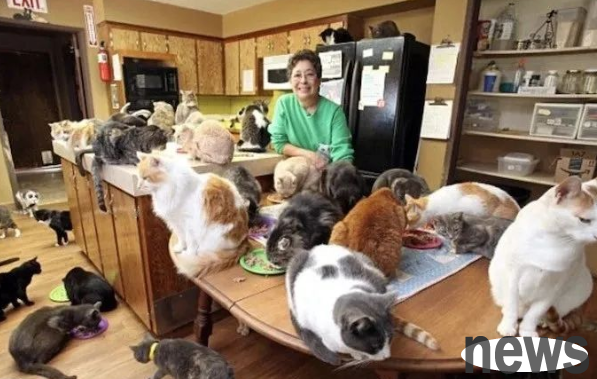 Rich American woman sells airplanes and adopts thousands of stray cats