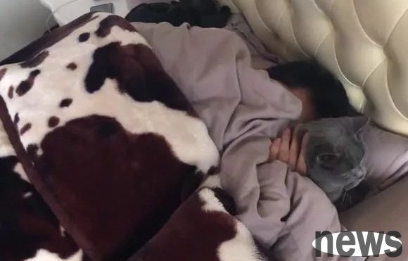 This is raising a love rival! My husband and bed are both occupied by cats