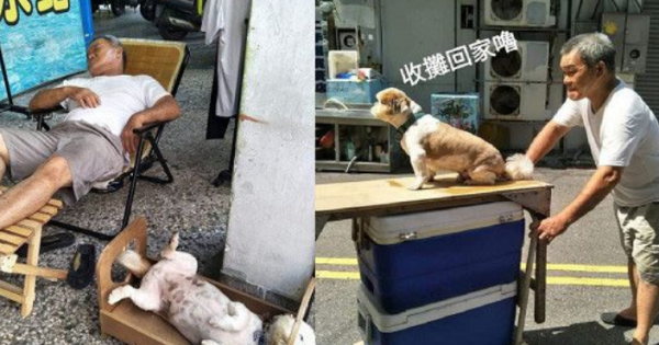 The father who always said he hated dogs now loves dogs the most